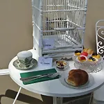 Quarantavasi Готель типу 