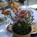 Готель типу 