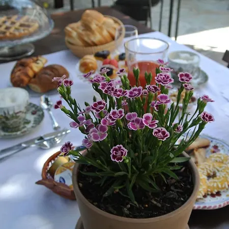 Couette-café Quarantavasi 4*